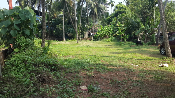 Land for sale in Athani, Viyyur, Thrissur