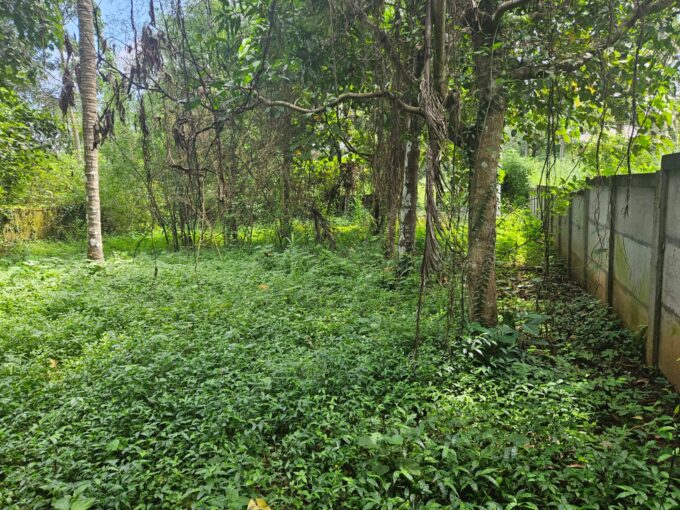 15 Cents Residential land for sale in Peramangalam, Thrissur