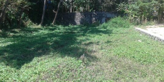 Residential Land for sale in Viyyur, Thrissur