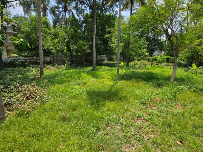 Residential land for sale in Kolazhy, Thrissur