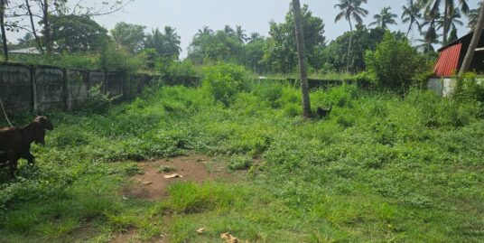 Land for sale in Ollur,Comapnypadi