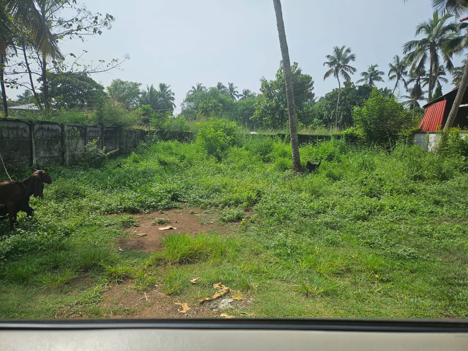 Land for sale in Ollur,Comapnypadi