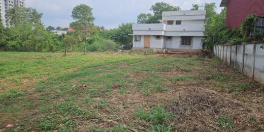 Good Residential Plots for sale in Pottore, Thrissur