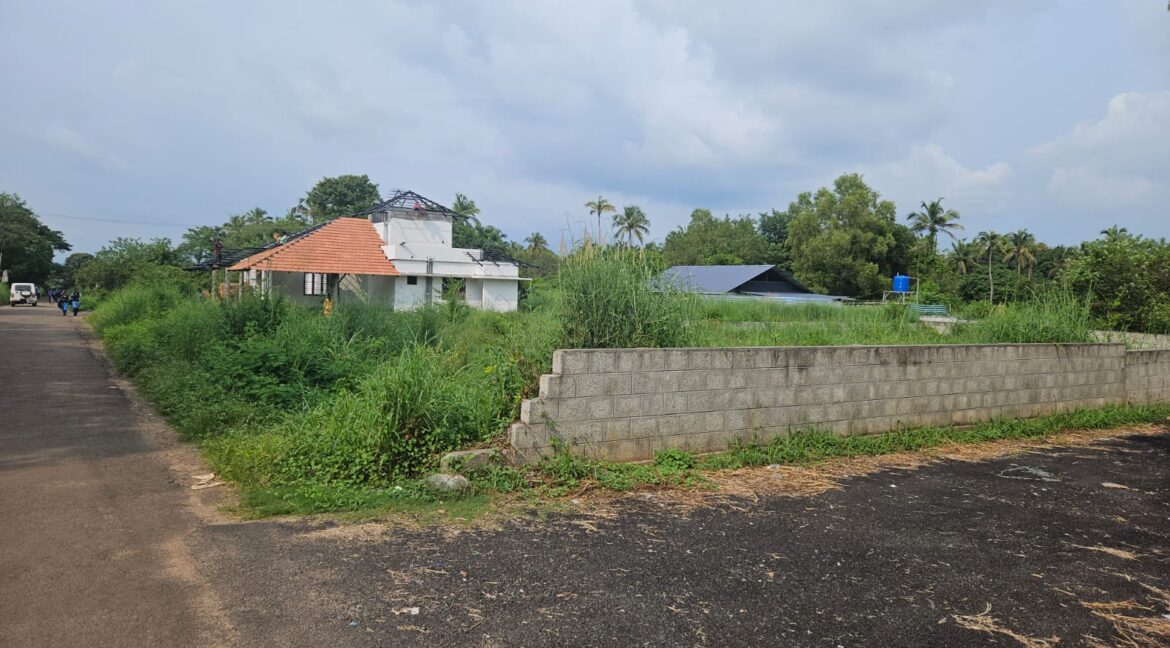 pottore_plots_5