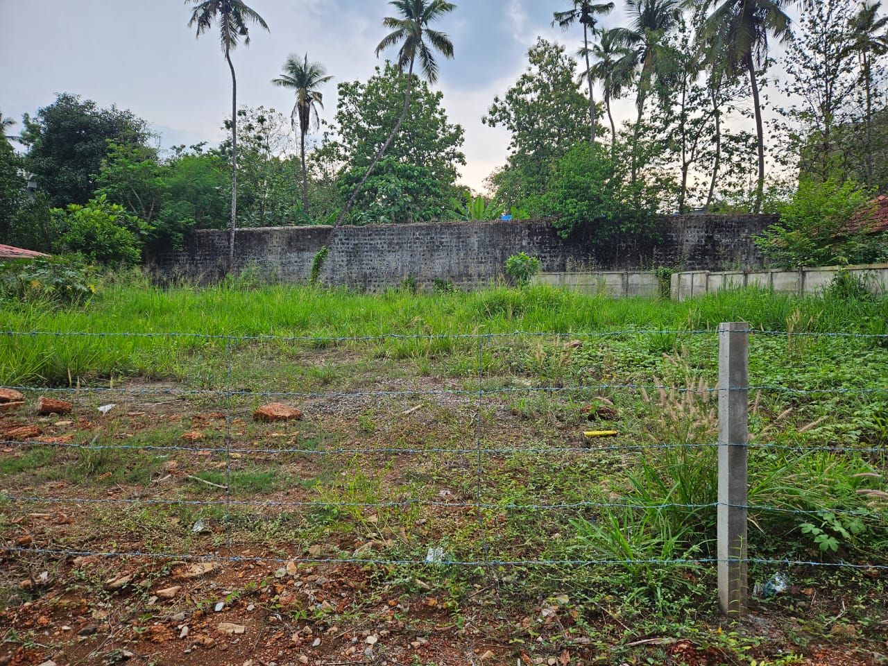 15 cents land For Sale In Chembukkavu, Thrissur