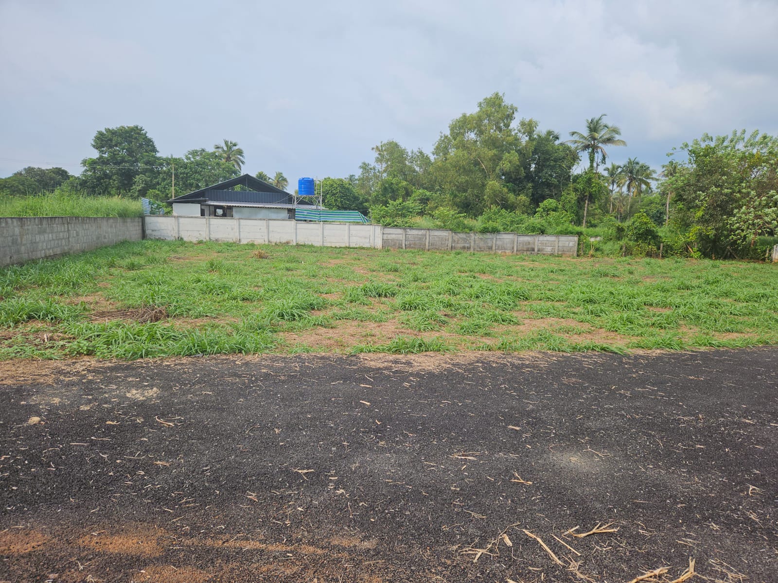 10 cents Land for sale in Pottore, Thrissur